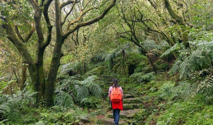 Hiker walking in Yangmingshan