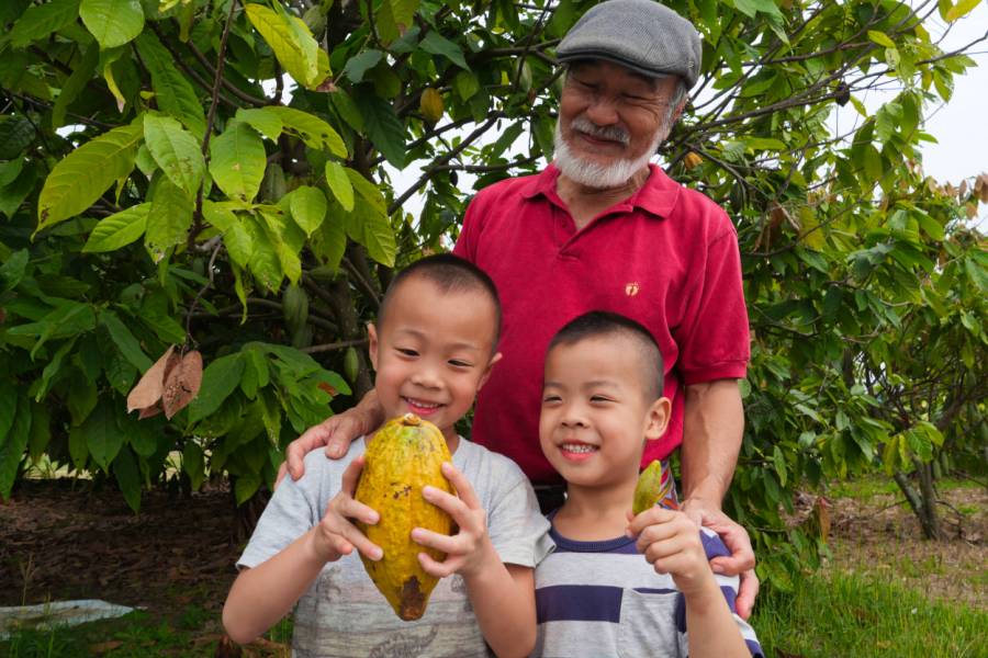 Mr. Chiu started Cacao farming in Pingtung, Taiwan