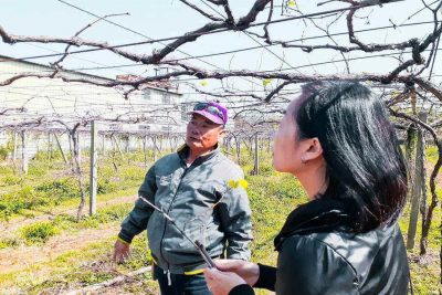 Wine in Taiwan